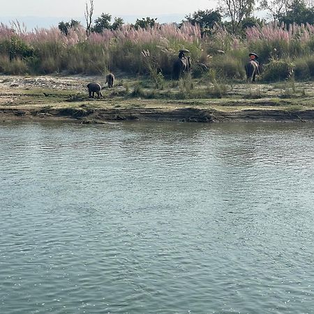 Chitwan Riverside Resort 索拉哈 外观 照片