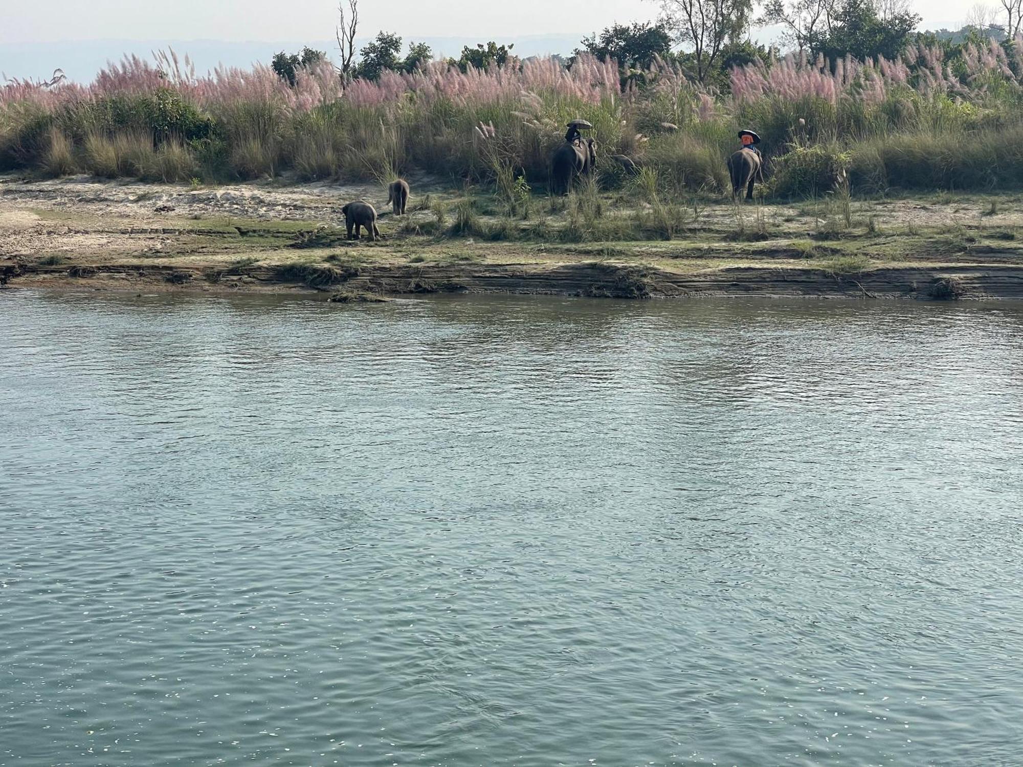 Chitwan Riverside Resort 索拉哈 外观 照片