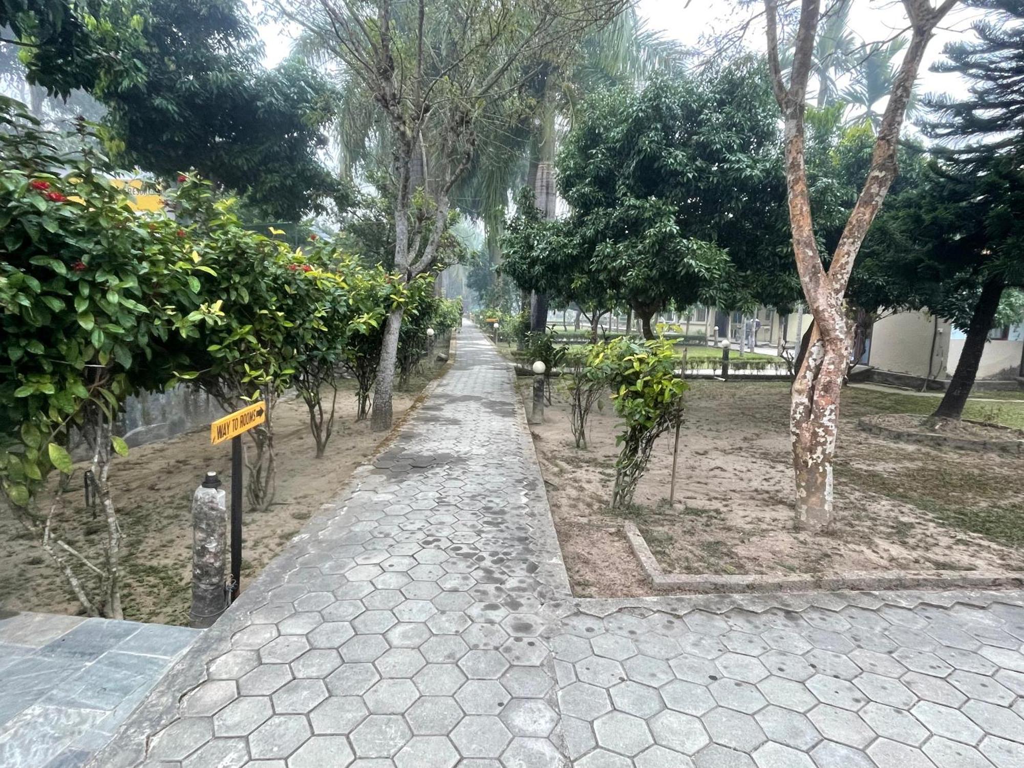 Chitwan Riverside Resort 索拉哈 外观 照片