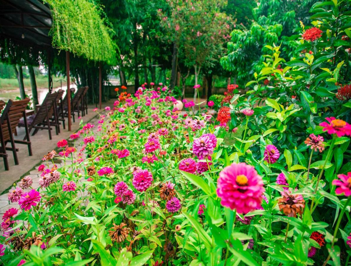 Chitwan Riverside Resort 索拉哈 外观 照片